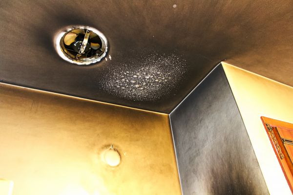 Smoke Damage Removal in Federal Way